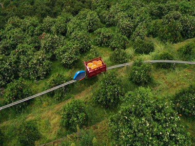 Application of Rail Conveyor Motors